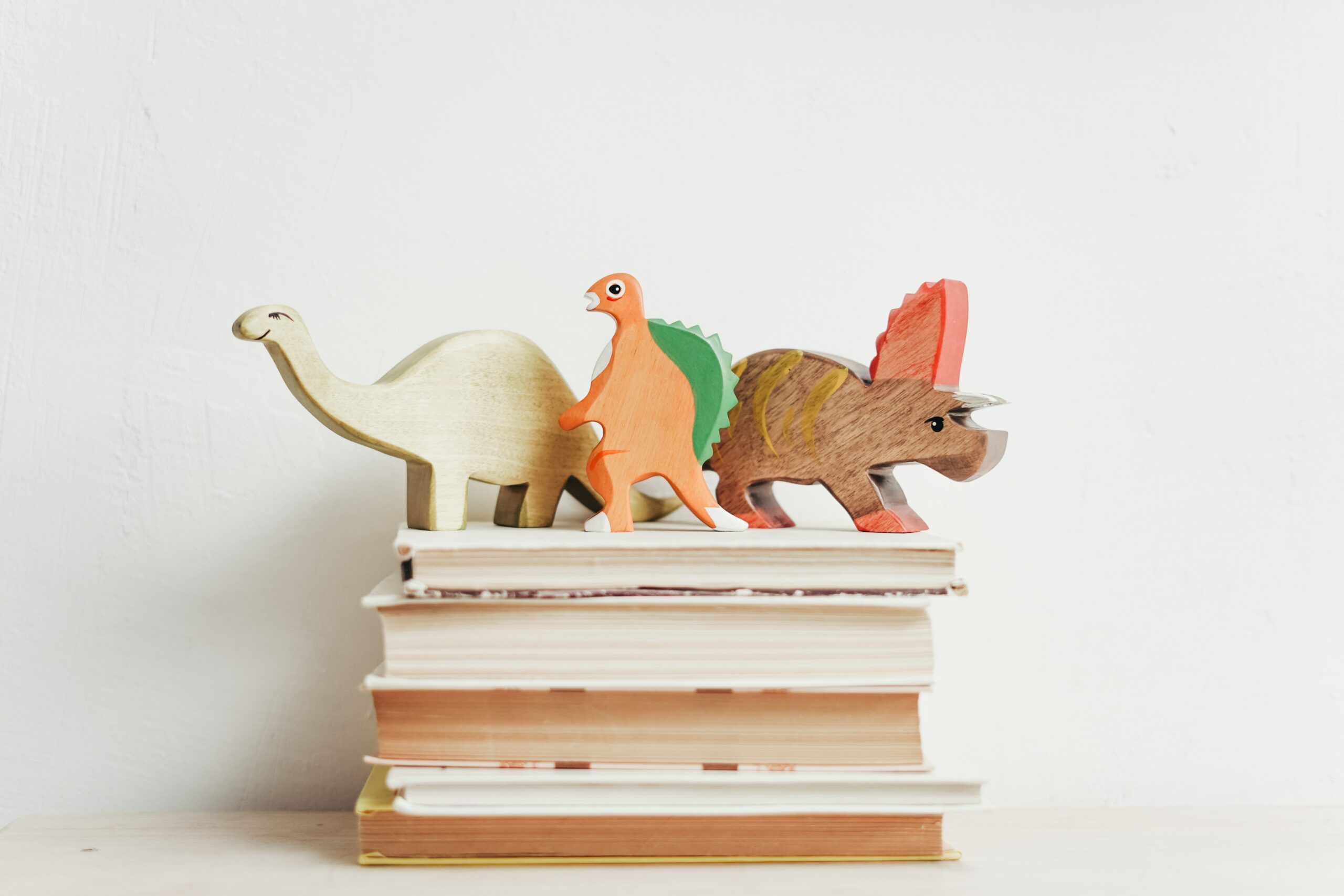 Reading with your Children